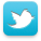 twitterl_icon